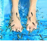 Baby fish toes