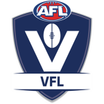 VFL (Voids Football League)