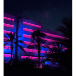 inyourdreams