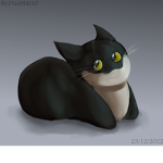 Maxwell cat group