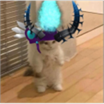 a$tr0ids