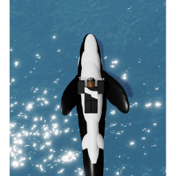 ShamU Staduim Believe