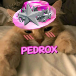 Pedrox Group