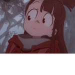 Para fãs da akko