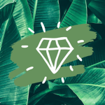 The Arcane Order|Charity
