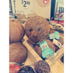 Happy Coconuts