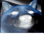 D0G3 F4M1LY