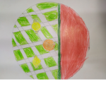Heibi12