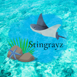 Stingrayz Squad