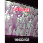 XYLO.ggs