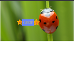 Group For Bug Praisers (GFBP)