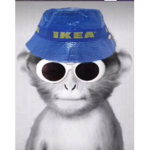 sonic group for Sonics