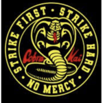 Cobra kai 1