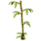 Bamboo Tree produce
