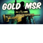 MW3 MSR fans