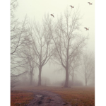 “In the distance“