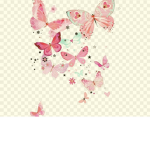 Butterflies Hood Cash