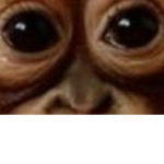 G r c hunts