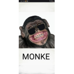 THE TRUNK MONKES