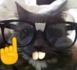 Epik Gaming Robloxians