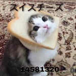 スイスチーズ