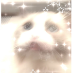 kawaii gothh
