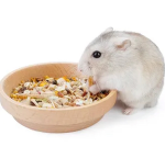 The Hamster Friend Group!