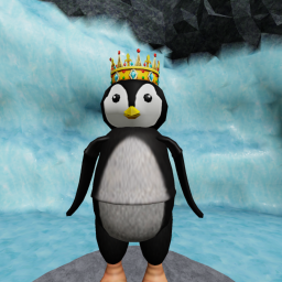 Penguin Hangout!