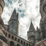 E.D. (Ejercito de Dumbledore)