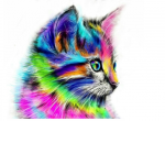 The Kitten Clan 2.o