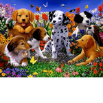 ~~Puppy Pals~~
