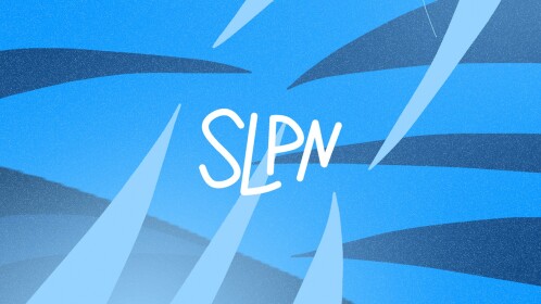 Verification | SLPN