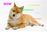 doge group of wonders and excitement