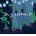aura aesthetics™