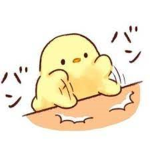 Ducki Squad :3