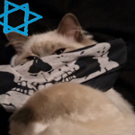 괴물