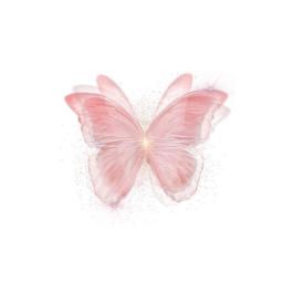 ♡˳ ˚