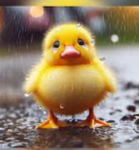 Sad ducky group