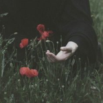 The Vampire Occult