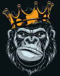 Gorilla9Squad