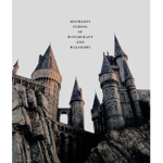 ~hogwarts fans~