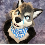 FURRYS FROM ROYAL HIGH