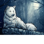 Wolve Club