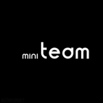 mini team