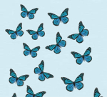 butterfly army tik tok