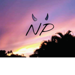 NP Clothing