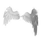 White Descended Wings