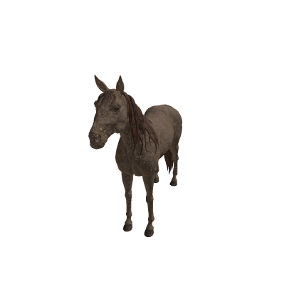 Cookie Horse