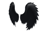 Black Angel Wings