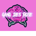 GANG 50G